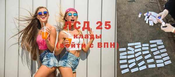 spice Аркадак