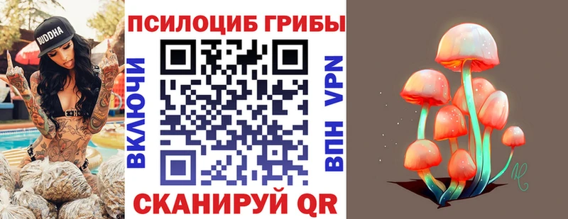 MEGA tor  Лянтор  Псилоцибиновые грибы GOLDEN TEACHER 